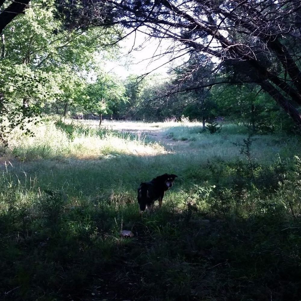 Meet your Posher, Janet